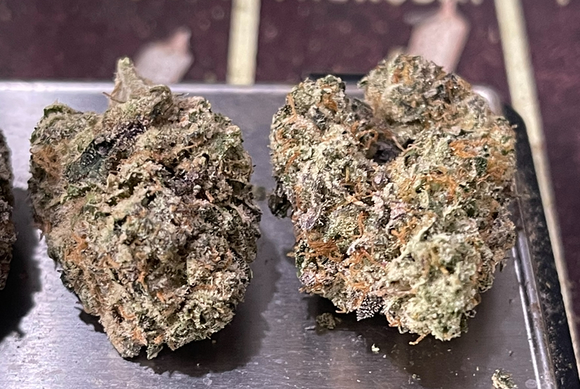 BLUE CANDY GELATO3.5G EXOTICS 36%THC 🎃HALLO SALE🎃 HYBRID EXOTiCS 🔥🔥 - Image 6