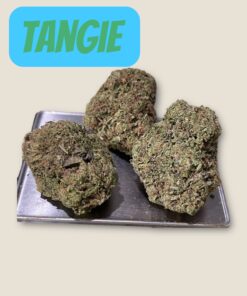 TANGIE 28g OZ on SALE SATiVA 🔥🔥 28%THC