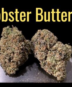 LOBSTER BUTTER 28grams OZ SALE HYBRID 29%THC