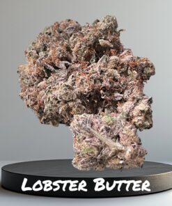 LOBSTER BUTTER🏆🏆3.5grams   HYBRID 37%THC 🔥🔥 “EXOTIC LIMITED BATCH SUMMER SALE  AWARD WINNER