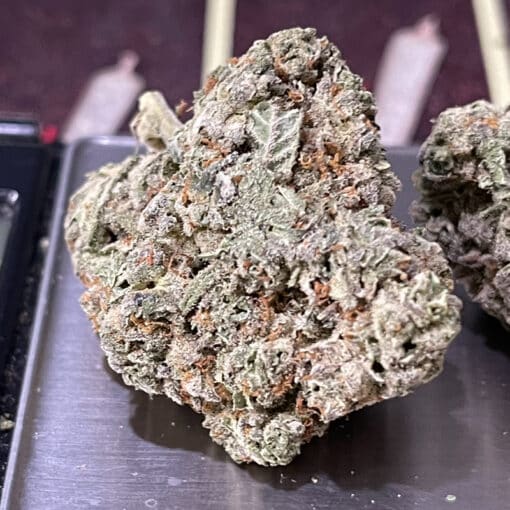 BLUE BISCOTTI3.5g ON SALE INDICA INDOOR  🔥🔥🔥 - Image 2