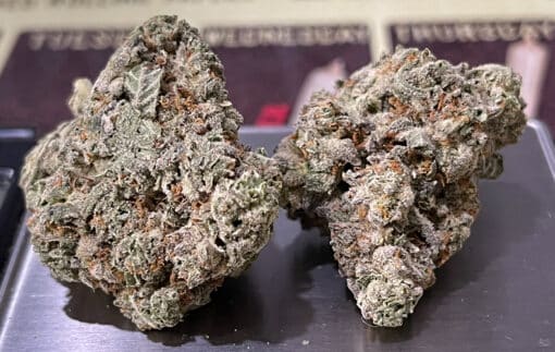 BLUE BISCOTTI3.5g ON SALE INDICA INDOOR  🔥🔥🔥 - Image 3