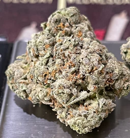 BLUE BISCOTTI3.5g ON SALE INDICA INDOOR  🔥🔥🔥 - Image 4
