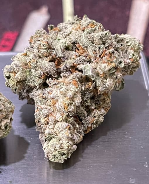 BLUE BISCOTTI3.5g ON SALE INDICA INDOOR  🔥🔥🔥