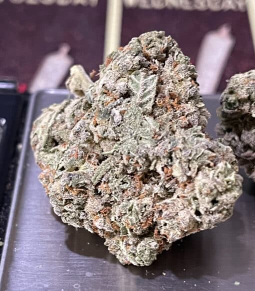 BLUE BISCOTTI3.5g ON SALE INDICA INDOOR  🔥🔥🔥 - Image 6