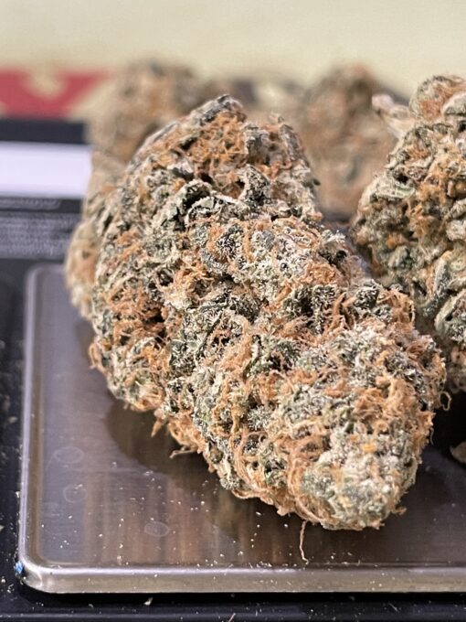 Blueberry Cruffin 3.5g(INDOOR) INDICA - Image 7