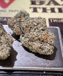 Ice man - buds