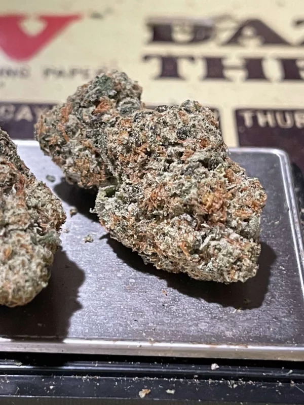 Ice man - buds
