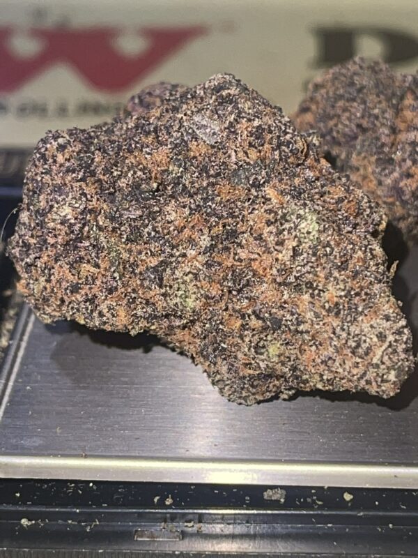 Grand Daddy Pluto (NEW BATCH ) - Image 6