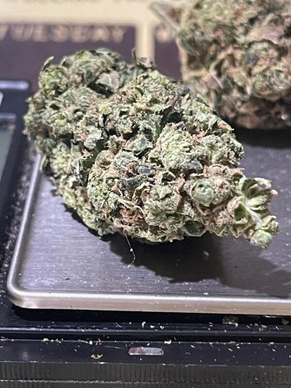 Purple Cherry Popper