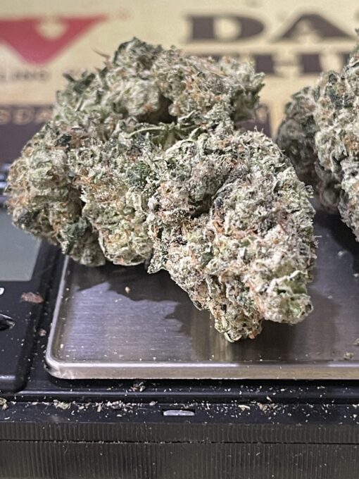 Gorrila Glue  (INDOOR  )Indica3.5grams NEW DROP !! 2/28/25 - Image 5