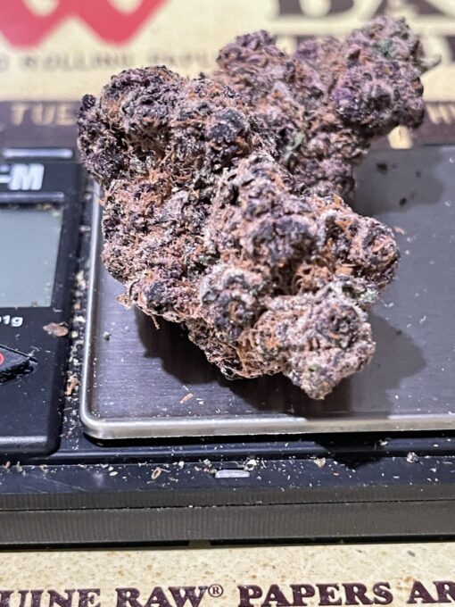 Pink Fritz. - Image 3