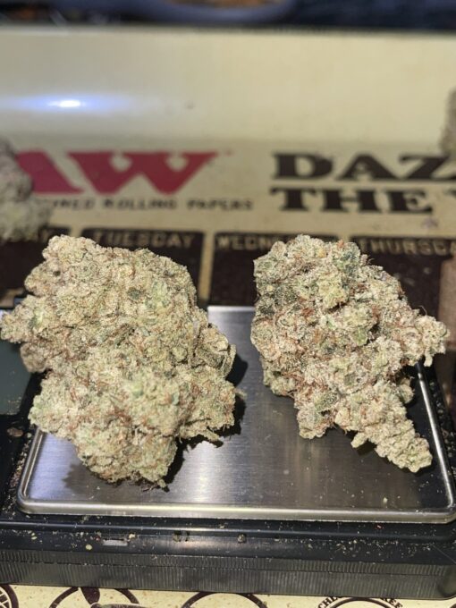 White Biscotti  (cookie Farms) - Image 5