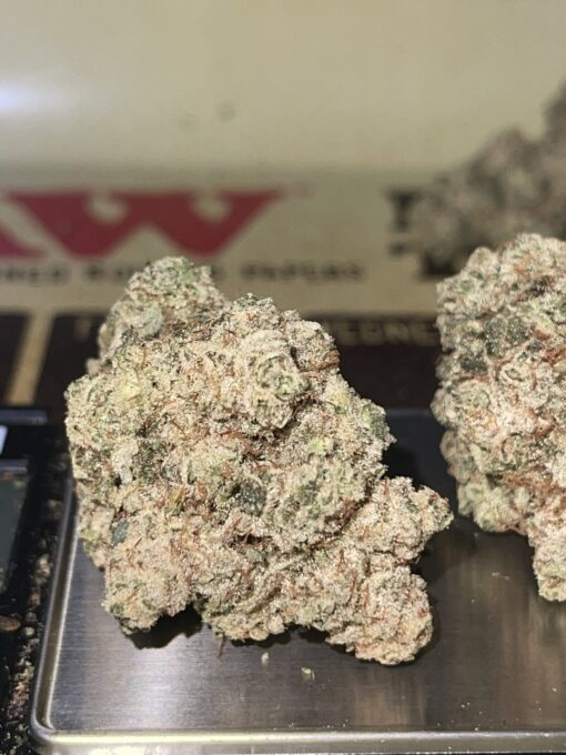 White Biscotti  (cookie Farms) - Image 8