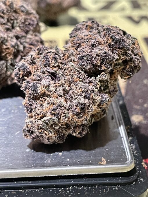 Pink Fritz. - Image 6