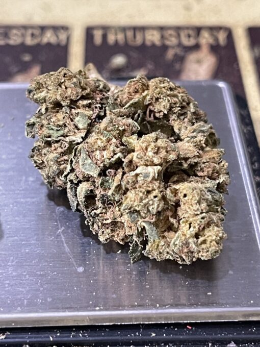 Gellato-33 Outdoor oz SALE!!