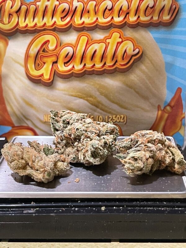 ButterScotch Gelato (Cannatique) - Image 3