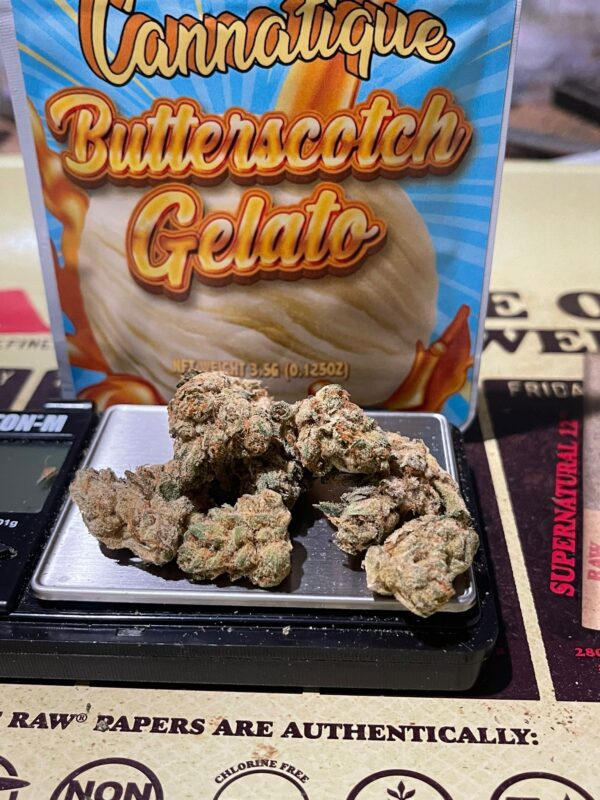 ButterScotch Gelato (Cannatique) - Image 2