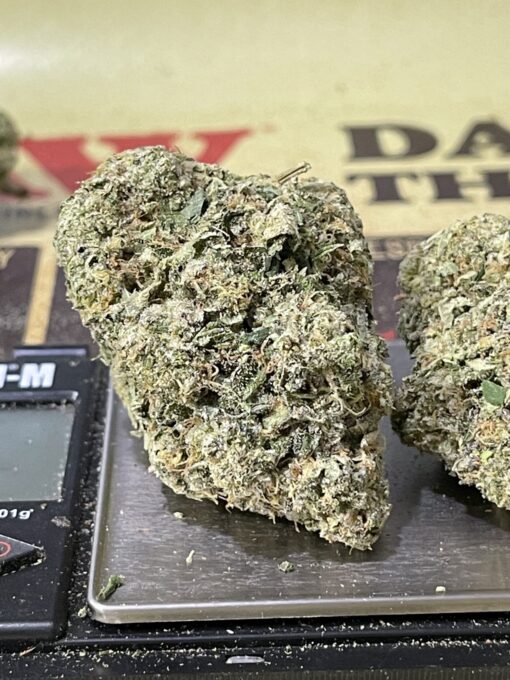 Octane Mintzs (Seed Junky )3.5 grams (Indica) - Image 3