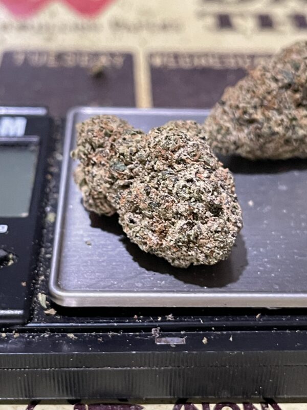 Nuclear Nerds - Image 3