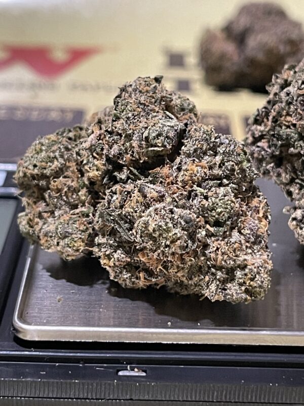 Razzlez - Image 2