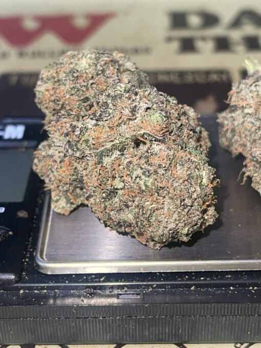 THE MAC 🔥🔥🔥Indoor - Image 2