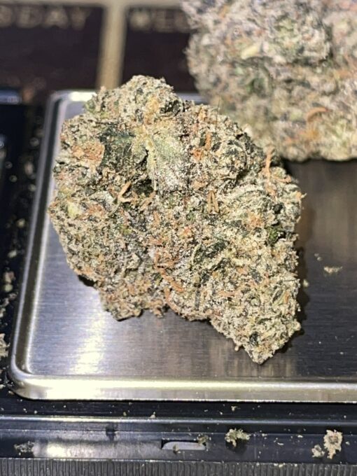 Midnight Znack (La Traffic) INDICA - Image 6