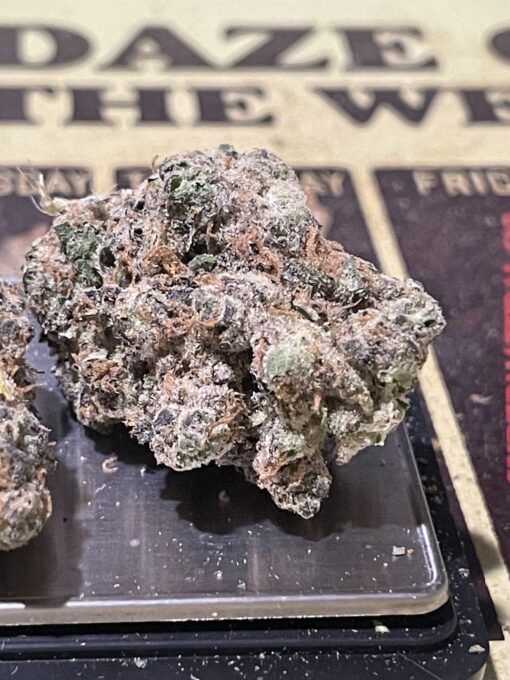 Jelly Dulce (cartel money ) - Image 8