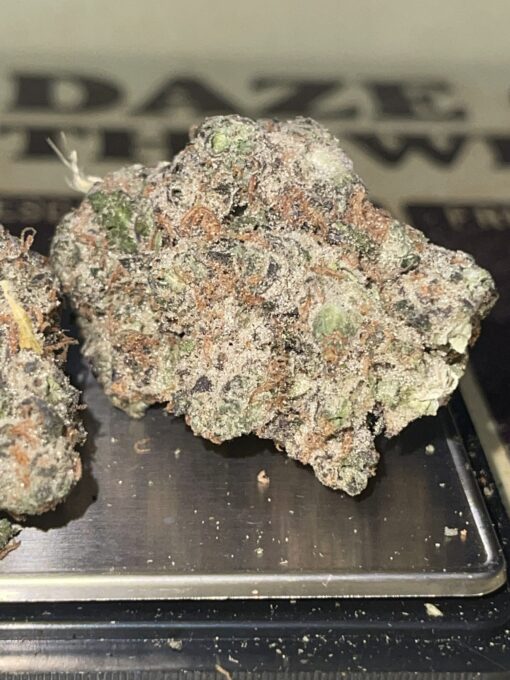 Jelly Dulce (cartel money ) - Image 6
