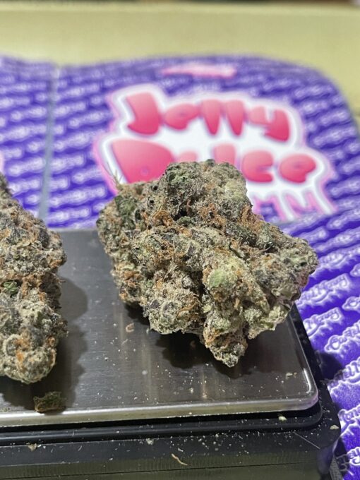 Jelly Dulce (cartel money )