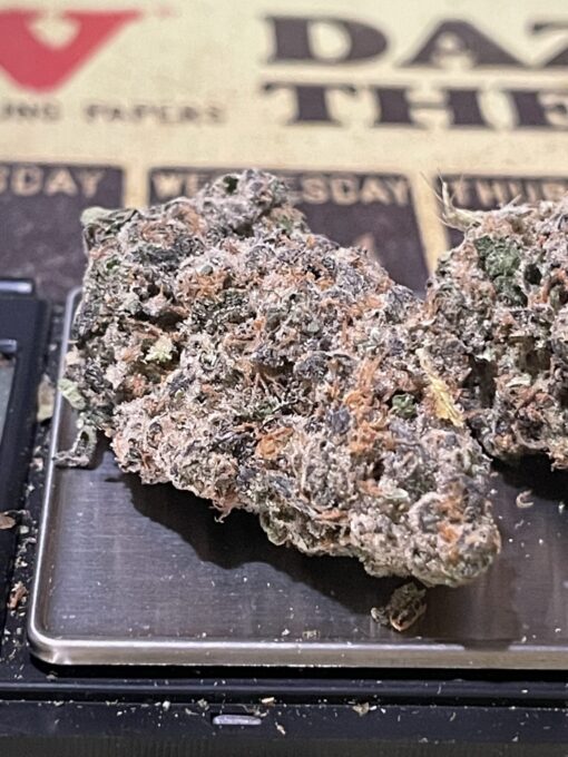 Jelly Dulce (cartel money ) - Image 9