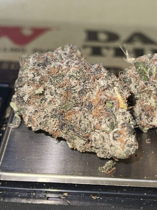 Jelly Dulce (cartel money ) - Image 7
