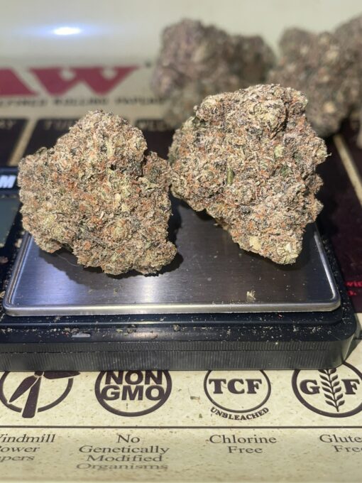 Sour Tangie x Jack Piss - Image 6