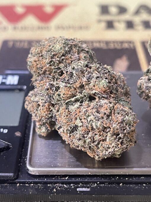 THE MAC 🔥🔥🔥Indoor