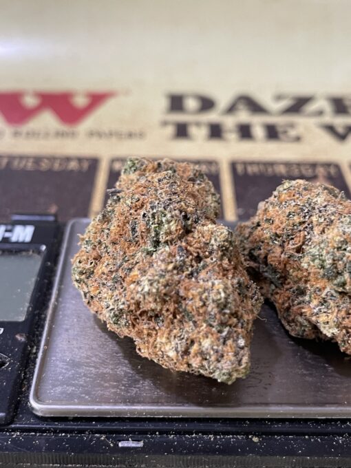 Lemon Jack Herer Sativa 28g + 2 Sativa Prerols - Image 5