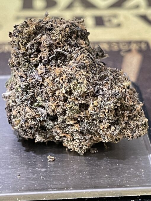 Black Truffle 🔥🔥