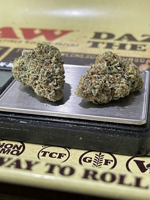 Banana Punch (indoor) - Image 5