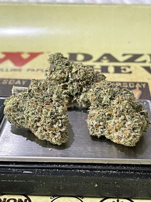 Banana Punch (indoor) - Image 6