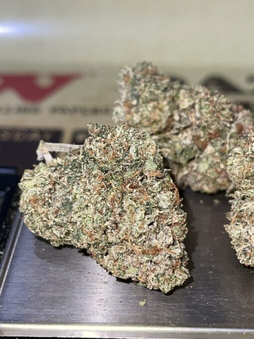 Banana Punch (indoor)