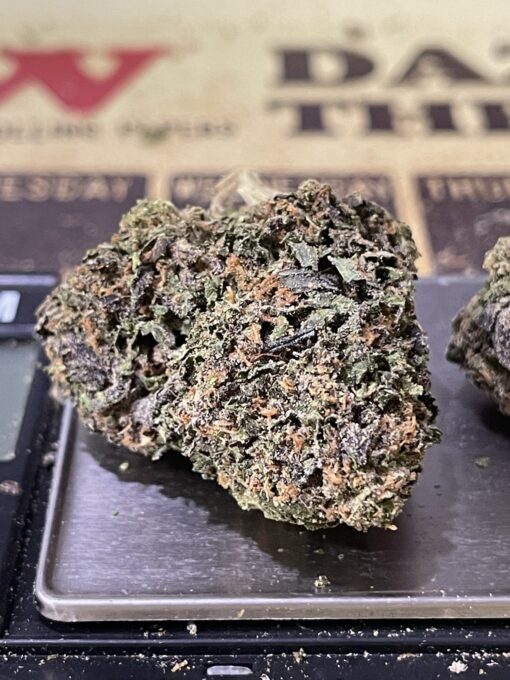 Blue Guava