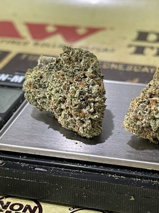 Banana Punch (indoor) - Image 4