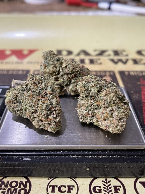 Banana Punch (indoor) - Image 3