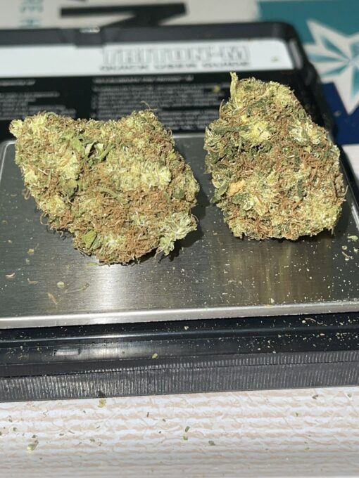 Cuban Black Haze 3.5g SATIVA - Image 6