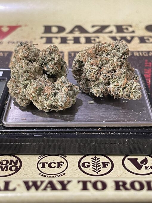MADISON  SQUARE  GARDEN GUMBO  3.5g INDICA🔥🔥🔥37%THC - Image 3