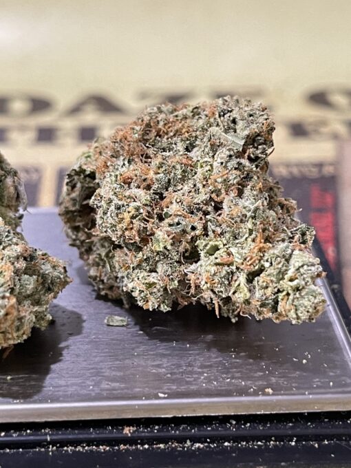 MADISON  SQUARE  GARDEN GUMBO  3.5g INDICA🔥🔥🔥37%THC - Image 6