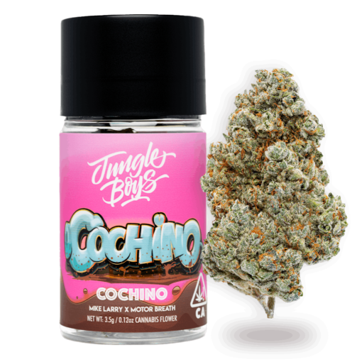 Cochino (jungle boys) Indica