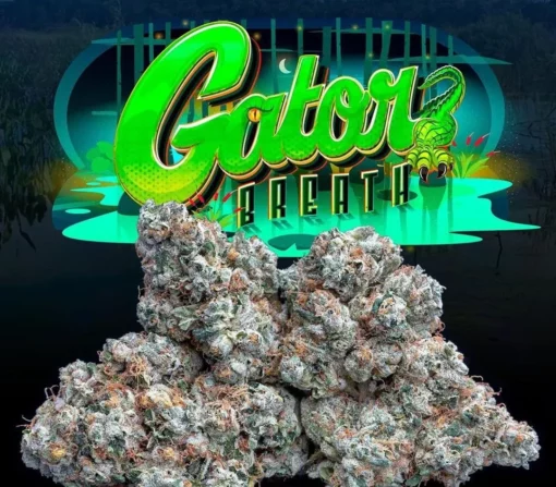 Gators Breath (jungle boys) indica - Image 2
