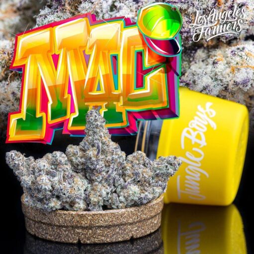 MAC (JUNGLE BOYS) 3.5 g HYBRID 🔥🔥 - Image 2