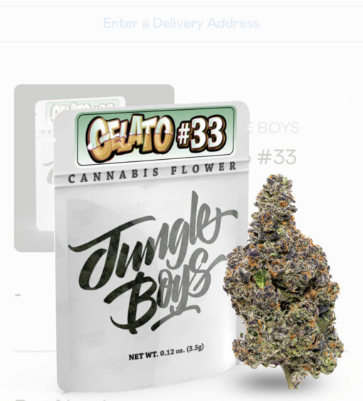 Gelato 33 (jungle boys)