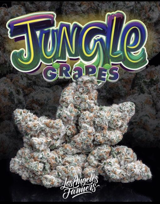 STICKY GRAPES (jungle boys) INDICA 🔥🔥 - Image 6